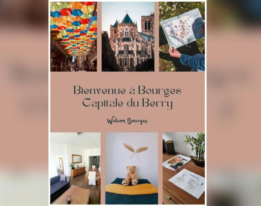 Apartmán Lumineux & Convivial Bourges Exteriér fotografie